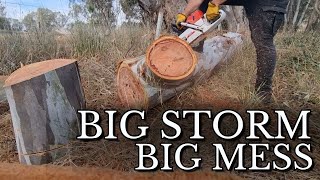 A Storm Took Down This Tree | Farm Clean-Up & Meeting the Animals