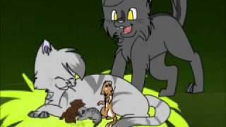 Accidentally in Love (Part ???) || Graystripe and Silverstream