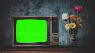 Old Retro Tv With Flower Vase Green Screen   1