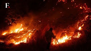 Chile: Firefighter, Forest Official Accused of Setting Wildfires That Killed 130