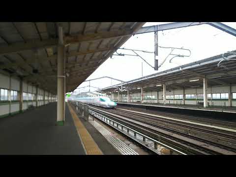 北海道・東北新幹線 はやぶさ18号 東京行き E5系と秋田新幹線 こまち18号 東京行き E6系  2018.09.29