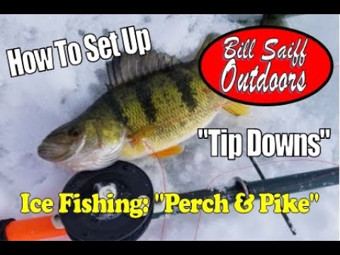 The BEST Dangler Rod Holder setup! Tip Down Ice Fishing 