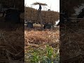 الناس الشقيانة