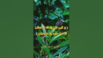 من سورة الأحقاف #تلاوات_المحراب