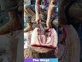 Giant Fish Cutting Perfection! 🔪🐟 SO SATISFYING! #fishcutting #villagecooking #satisfyingvideo