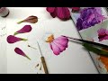 Illustrating a Zinnia for the New England Society of Botanical Artists