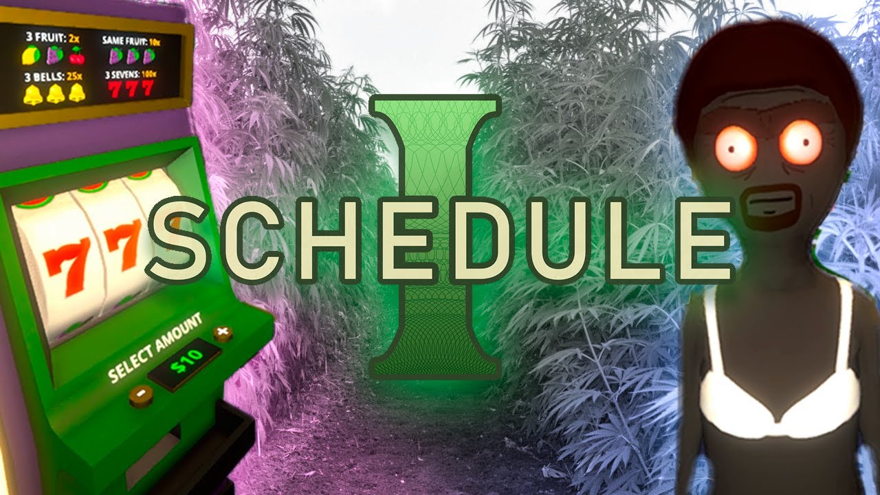 Хозяйство + лудка = Успех (Schedule I)