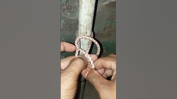 Wow simple Knot #knots #knotskill #ideas #crafts #tips #diy shorts # #bestknots