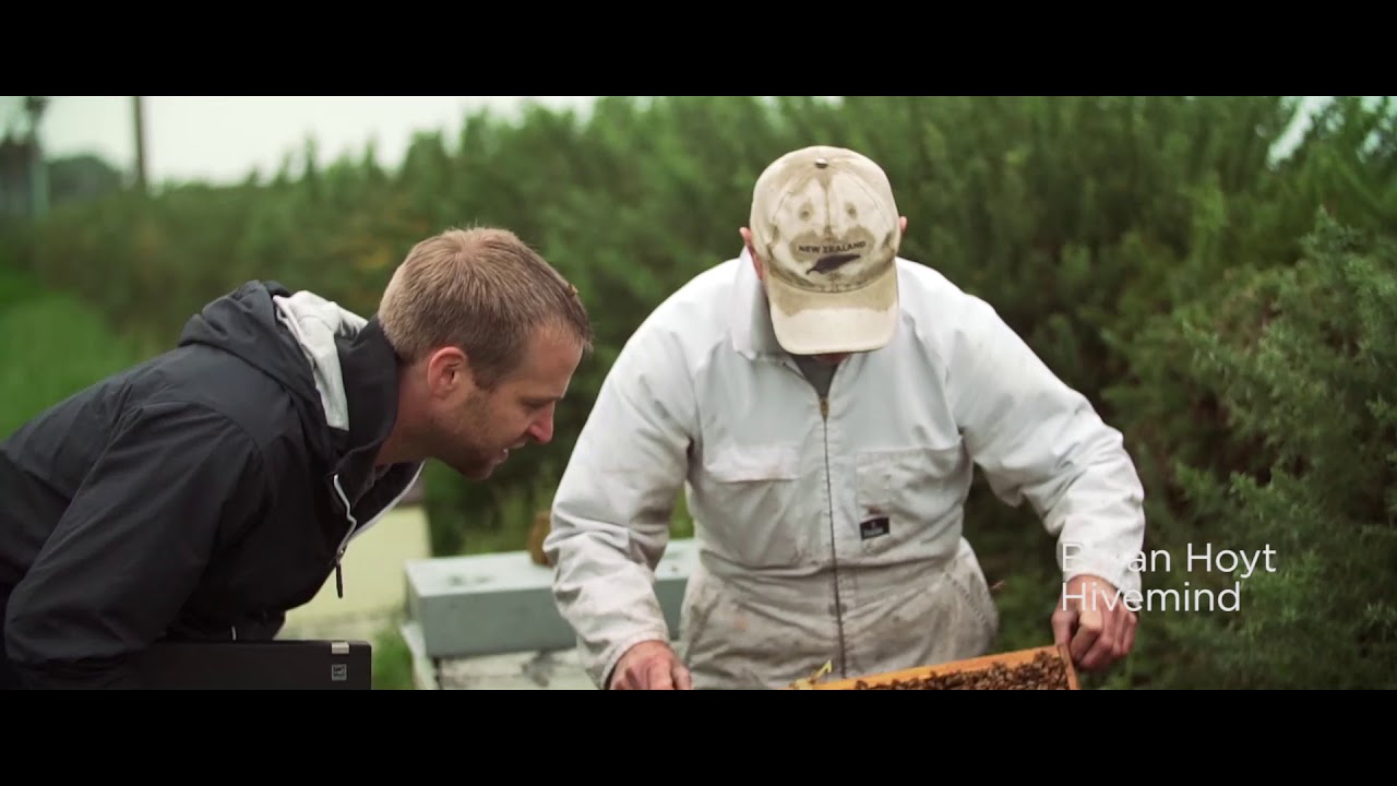 Monitoring Beehives to Redefine Agriculture #ThinkStories