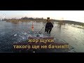 Коли потрапив на активний кльов щуки!!!