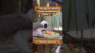 Mindbody Tools #chronicpain #anxiety #panicattack #trauma #insomnia #recovery  #mindbody  #healing