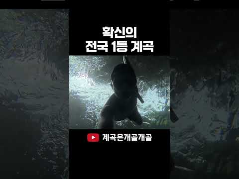 확신의 전국 1등 계곡
