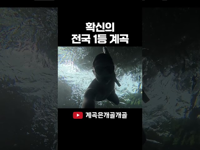 확신의 전국 1등 계곡