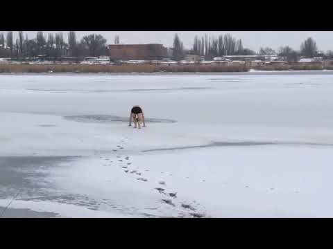 В Николаеве морпех спас собаку, которая провалилась под лед