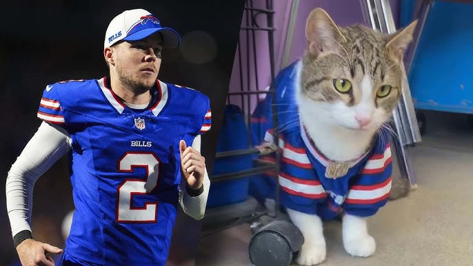 Fans Of Nfl Kicker Tyler Bass Donate To Cat Rescue Shelter
