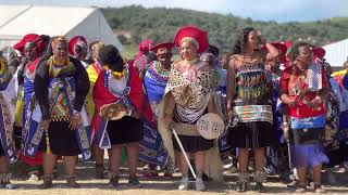 King Misuzulu & Princesses of AmaZulu - Bantwana | Princess Bukhosibemvelo | Battle of iSandlwana |