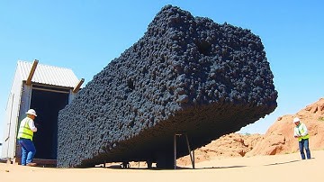 It Started Killing All the Bees in Australia.. Just Watch The Results After 1 Year. It