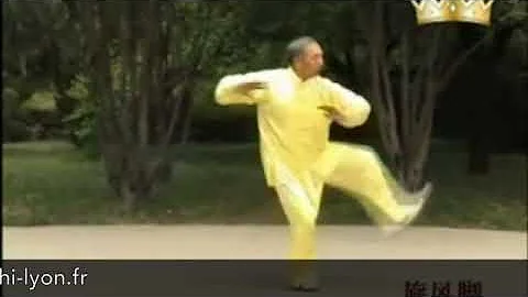 Tian Jian Hua - Tai Chi style Chen Xinjia Yilu  [ ...