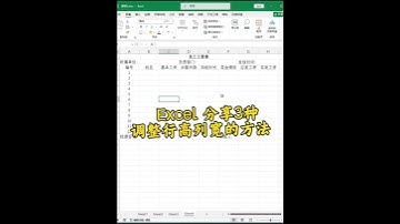 给你分享3种调整行高列宽的方法#office办公技巧 #职场加分技能 #办公技能 #办公软件 #excel技巧