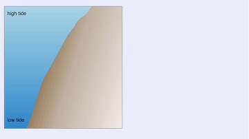 Interspecific Competition Relationship - Competitive & Niche Differentiation