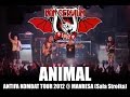 ANIMAL - DIRECTO Non Servium - Antifa Kombat Tour 2012