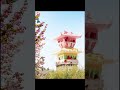 How to say no to ice-cream in hot summer!What happen when Chengdu Qingbaijiang’s city landmarks