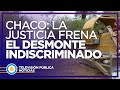 Chaco: la Justicia frena el desmonte indiscriminado