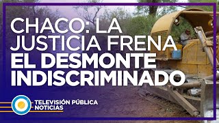 Chaco: la Justicia frena el desmonte indiscriminado