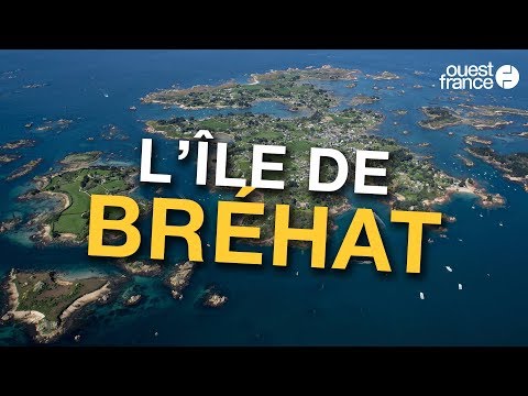 Dolphin Whale Watching Attractions In Ile De Brehat Destimap Destinations On Map