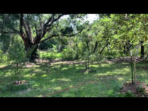 Partial Shade for Fruit Trees