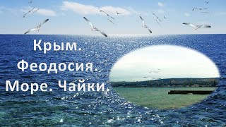 Крым Феодосия Море Чайки  /Crimea Feodosia Sea Gulls