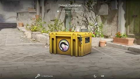 OPENING CASES CS2. DAY 148. RECOIL CASE.