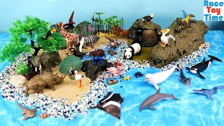 animal island adventure learn animal names for kids