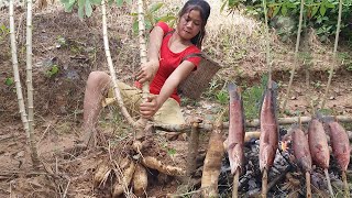 Catch fish and pick up cassava to cook for food of survival, so delicious food - Survival cooking