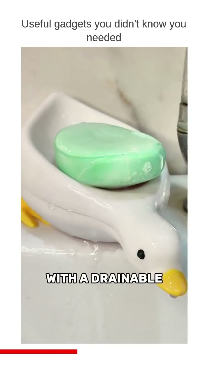 ⚙️ You need this! Product link in Bio The Angry Duck Cartoon Storage Drainable is a unique and