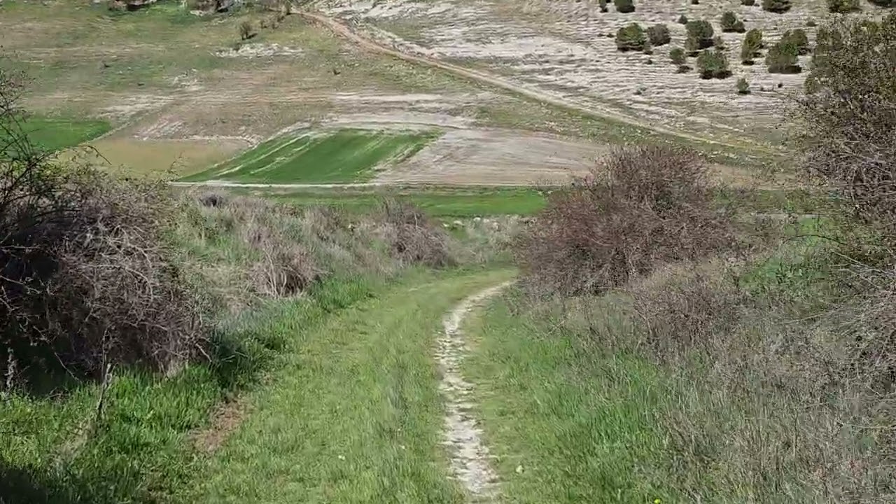 V174 - Camino de Madrid 2023 - E09 - Puente Duero - Peñaflor de Hornija