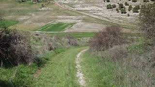 V174 - Camino de Madrid 2023 - E09 - Puente Duero - Peñaflor de Hornija