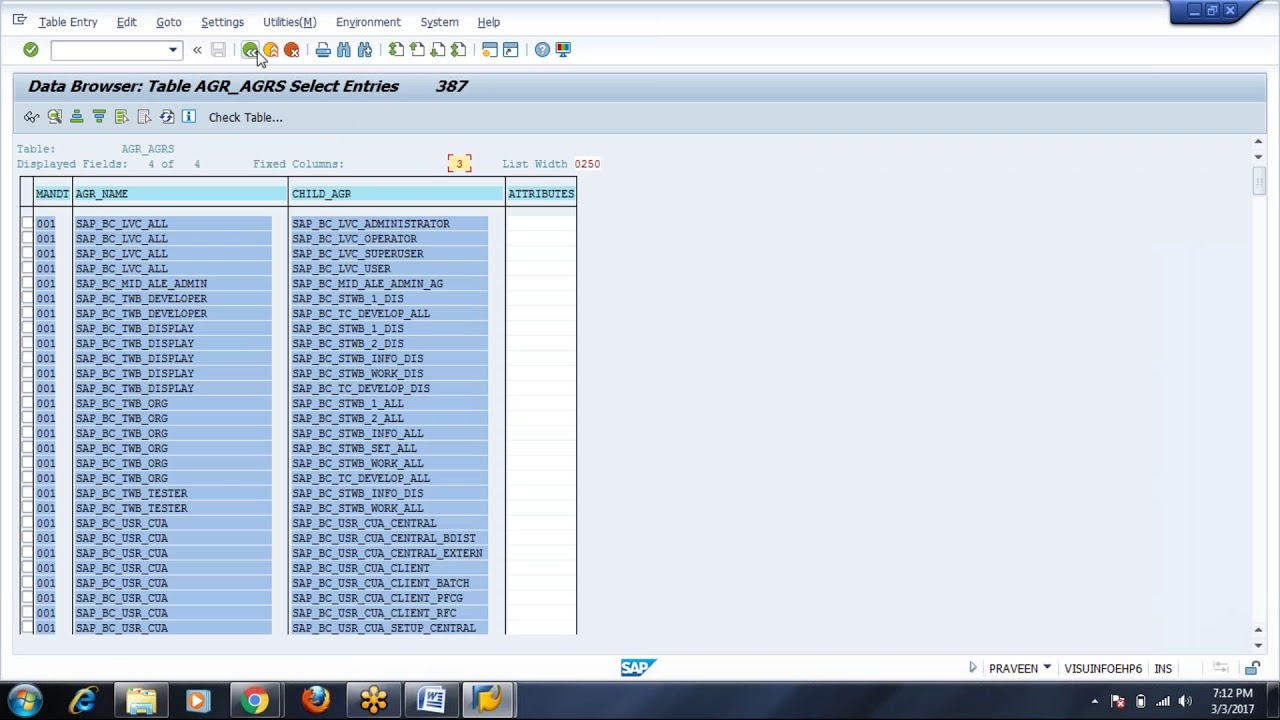 sap role assignment table