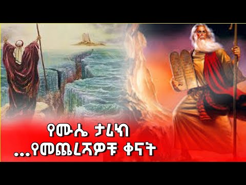 ቪዲዮ: የክለብ mosses ሥሮች አላቸው?