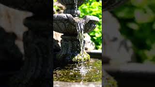 ASMR -Soothing and relaxing water fall sound⛲💆