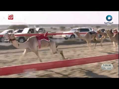 الشوط 10 نجوى ل حمود عبدالله شامس المحاربي 8 07 10 سباق الاتحاد العماني 2025 1 27 لقايا صحار