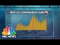 'Rounding The Corner' On Coronavirus? Or Going In Circles? | Meet The Press | NBC News