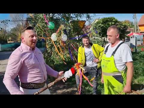 jest brama trza opić !!!😜 short weselny 🥳