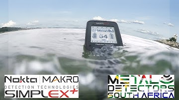 Nokta Makro Simplex+ Metal Detector #shorts