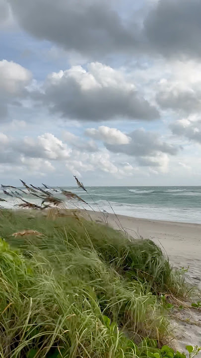Happy Thursday to you #beachparksclosed #tropicalstormwatch #Helene