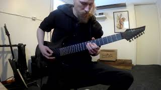 Insomnium - The Witch Hunter (Guitar Cover)