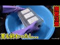 カブトムシの虫かごを久々に見たら凄いことになってた!【昆活 ♯4】