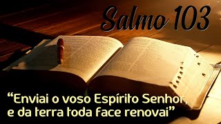Salmo 103 - Enviai o vosso Espírito Senhor e da terra toda face renovai