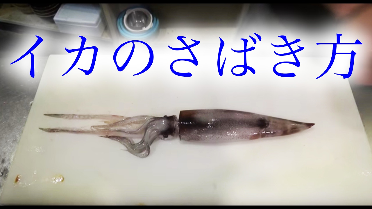 簡単な イカのさばき方 をご紹介 How To Cook Squid Youtube