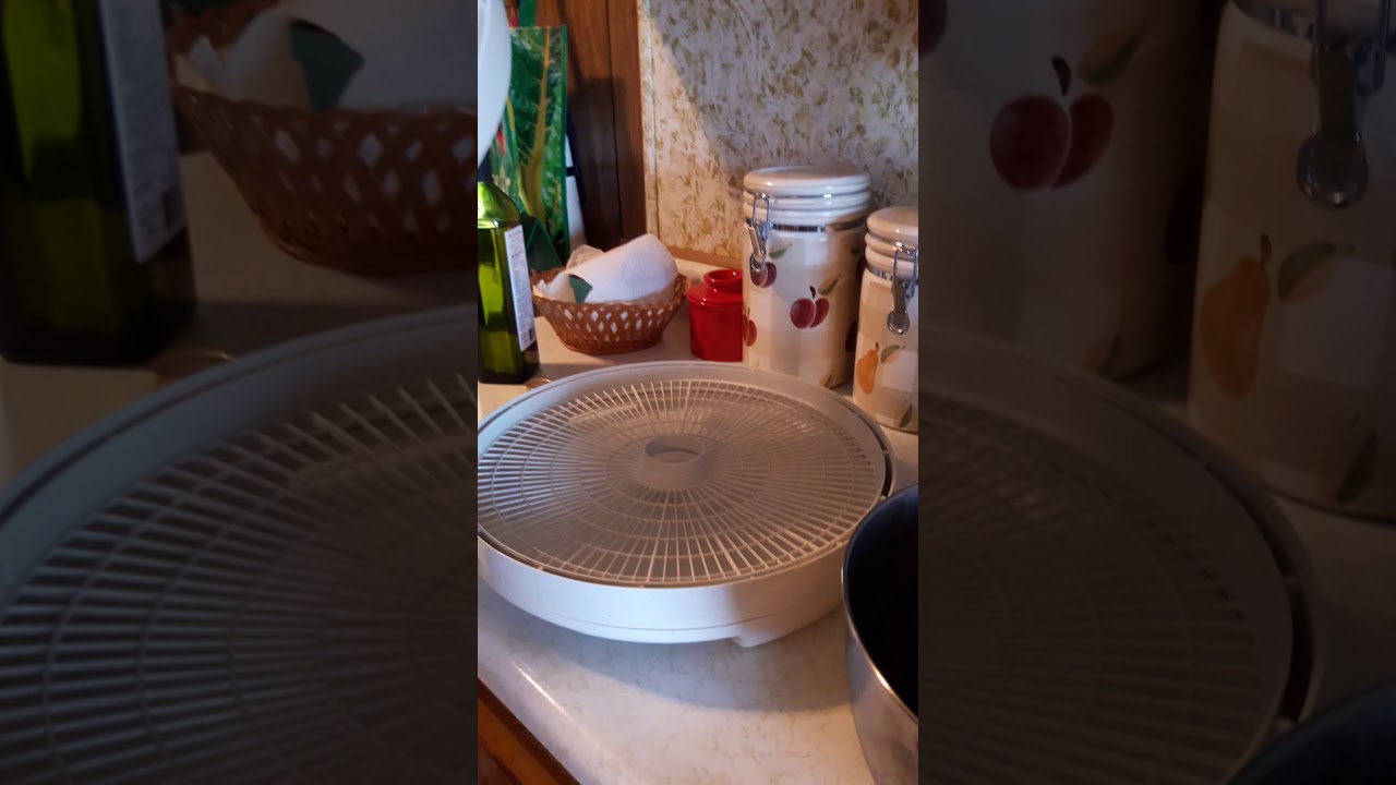 Beef Jerky & Tuna 10